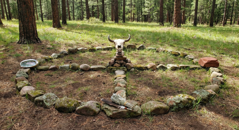 A realistic photograph of a traditional stone Medicine Wheel constructed in a forest clearing, featuring sacred items like a buffalo skull and sage bundles, illustrating the earth-based foundation of Native American Astrology.