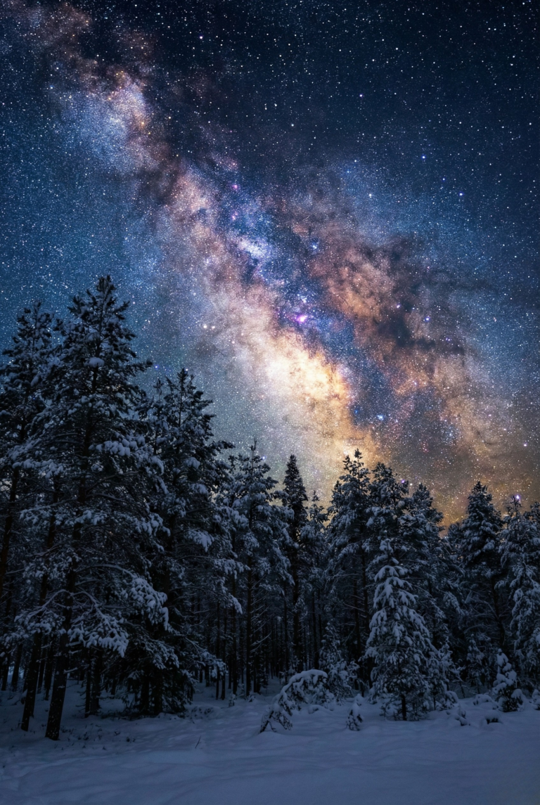 Snowy pine forest silhouette under a bright Milky Way night sky.